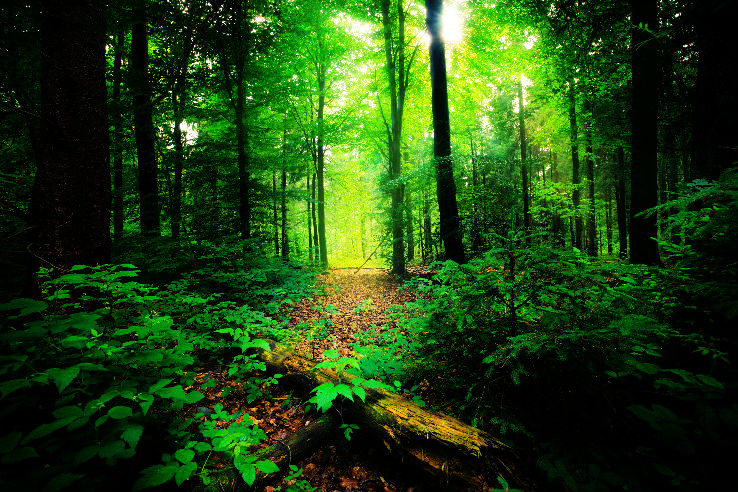 5. Silent Valley